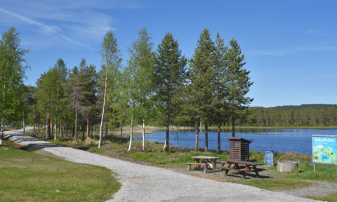 Baksjötjärn